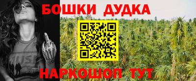 соль ск Свободный