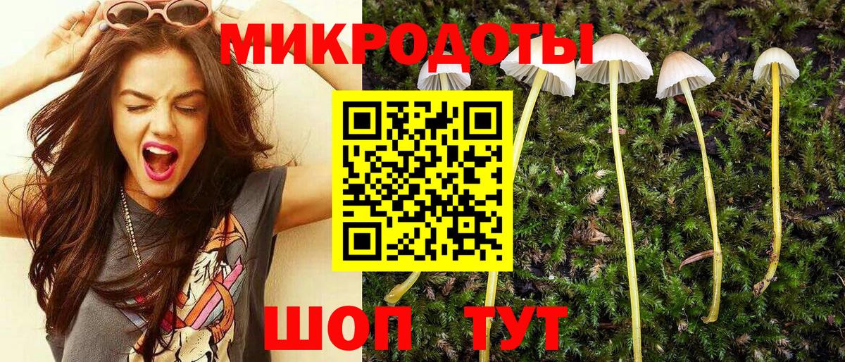 Галлюциногенные грибы мухоморы Ноябрьск