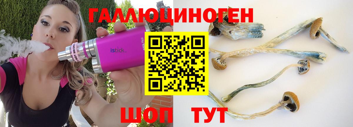 Галлюциногенные грибы Psilocybine cubensis  Вход с VPN  Ноябрьск  Галлюциногенные грибы Magic Shrooms 
